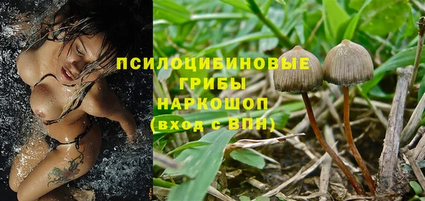 спиды Мегион