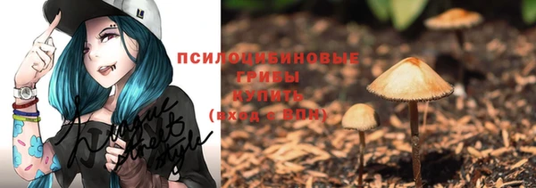 спиды Мегион