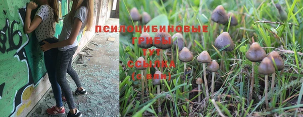 mdma Медногорск