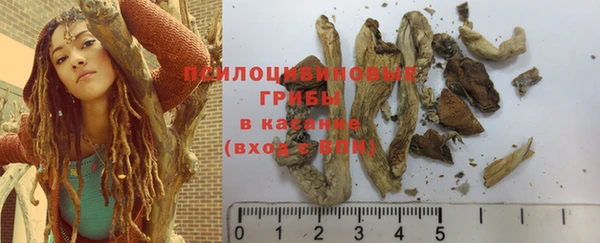 спиды Мегион