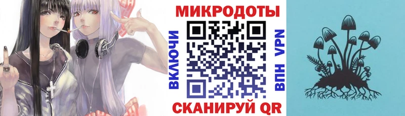 Купить где  Ликино-Дулёво  Псилоцибиновые грибы Psilocybe 